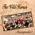 /products/the-wild-horses-stampede/